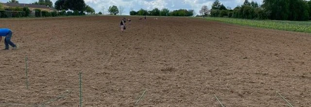 PLANTATION NOUVELLE