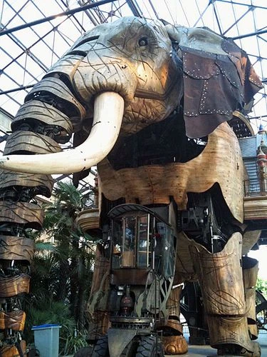 elephant.jpg