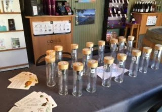 LE NEZ DU VIN (mais pas que!)