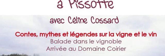Balade dans le vignoble