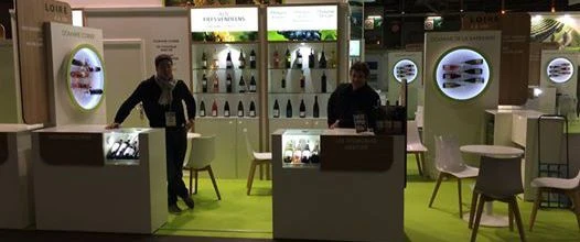 salon Vinovision