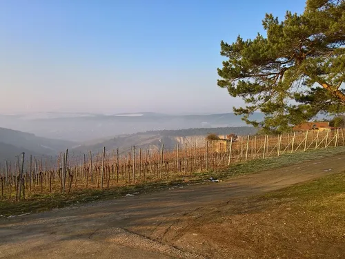 vallée-du-Douro