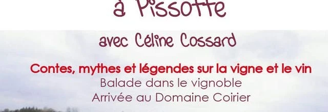 Balade dans le vignoble