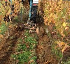 Terre à terre